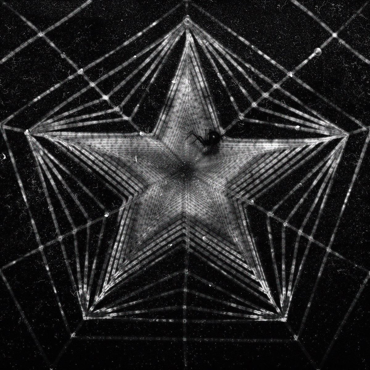 STK009 sale viernes 1ero de mayo <a href="/Bandcamp/">bandcamp</a> &amp; tiendas
MAGA - 'Calma' Single
Lo recaudado en este track irá destinado a la Brigada Cascos Rojos; brigada autogestionada que emerge como iniciativa para atender las necesidades del pueblo chileno en contexto de movilización política.