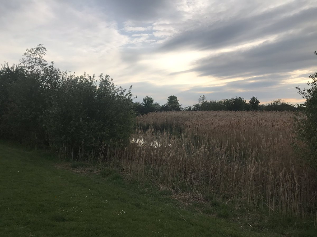 Day 36 of positives  Started my Monday with some exercise  followed by some  some Sims, and even made a Tropic video  my evening consisted of a lovely walk with my parents and FaceTime with Alex. Also a catch up with the girls 