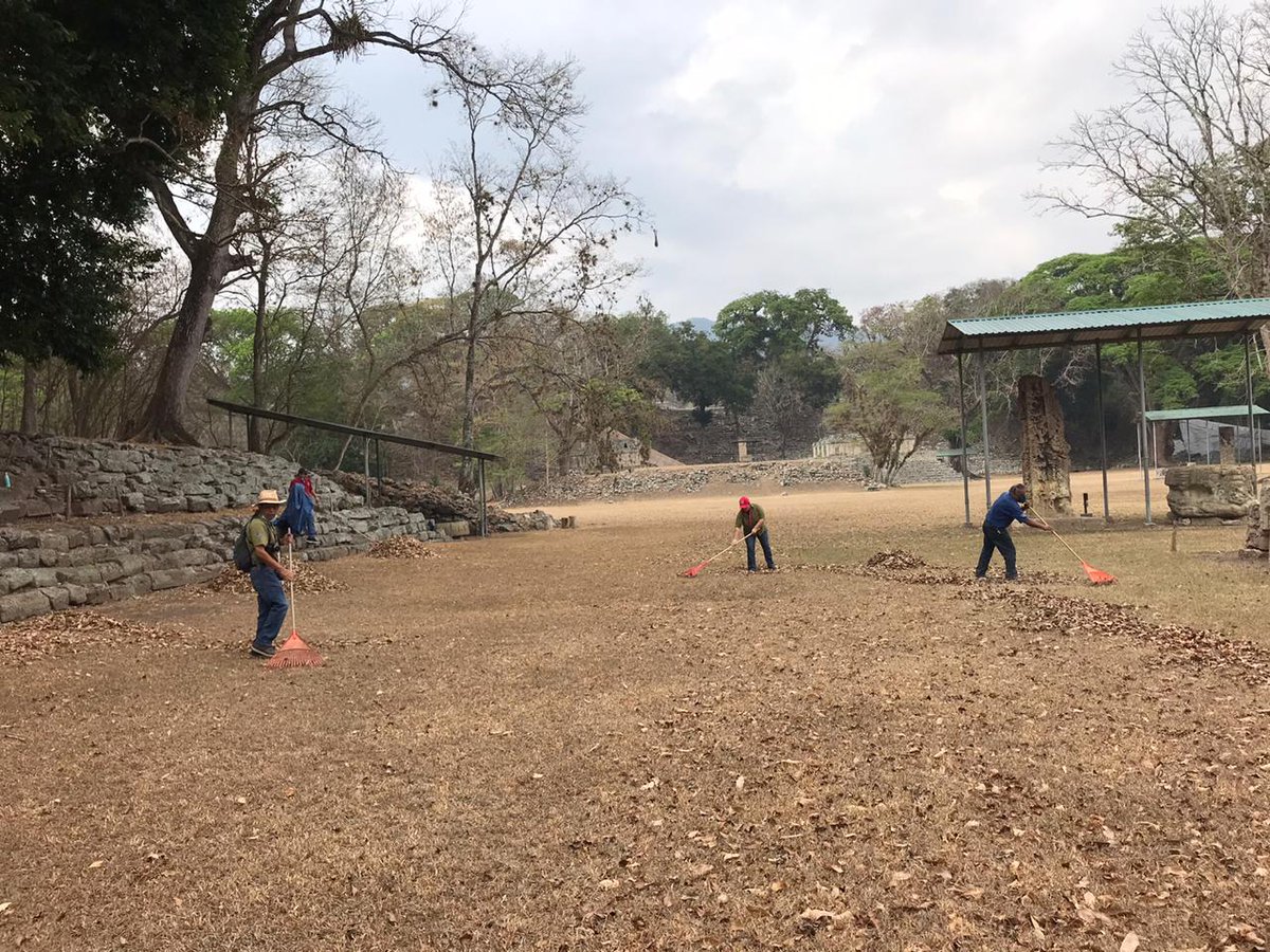 ihahhn's tweet photo. #QuedateEnCasa
#ViajandoEnLaDistancia
#SanaDistancia

A pesar de las dificultades, miembros de la Asociación de Guías del Municipio de Copán Ruinas junto a empleados del #IHAH trabajan en equipo para mantener en óptimas condiciones el Sitio Maya de Copán. 
#COVID19 https://t.co/wQQubNcYTB