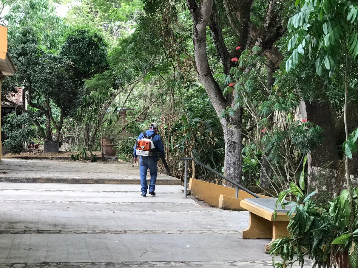 ihahhn's tweet photo. #QuedateEnCasa
#ViajandoEnLaDistancia
#SanaDistancia

A pesar de las dificultades, miembros de la Asociación de Guías del Municipio de Copán Ruinas junto a empleados del #IHAH trabajan en equipo para mantener en óptimas condiciones el Sitio Maya de Copán. 
#COVID19 https://t.co/wQQubNcYTB