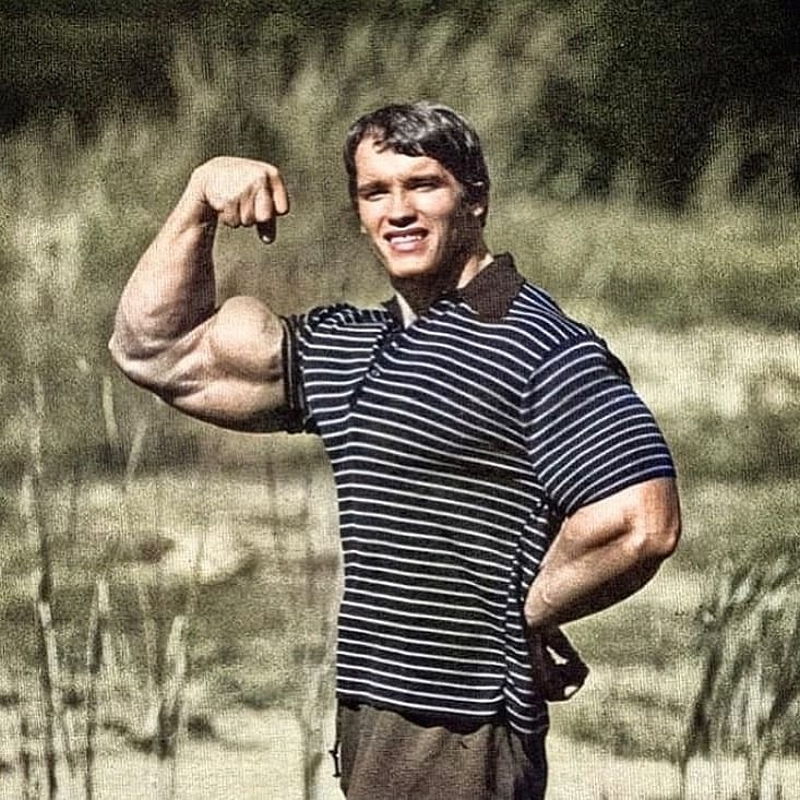 fitness21world's tweet photo. Biceps peaks of Arnold Schwarzenegger 💪🔥
-
📸 @schwarzenegger
_
#fitnessmotivation #bodybulding #fitnessaddict #fitlife #fitnation #fitlifestyle #abs #shredded #gym #fitnessmodel #workout #loveit #healthyfood #training #healthlifestyle #instaport #trainstation #active #health https://t.co/hbsgl9CZXz
