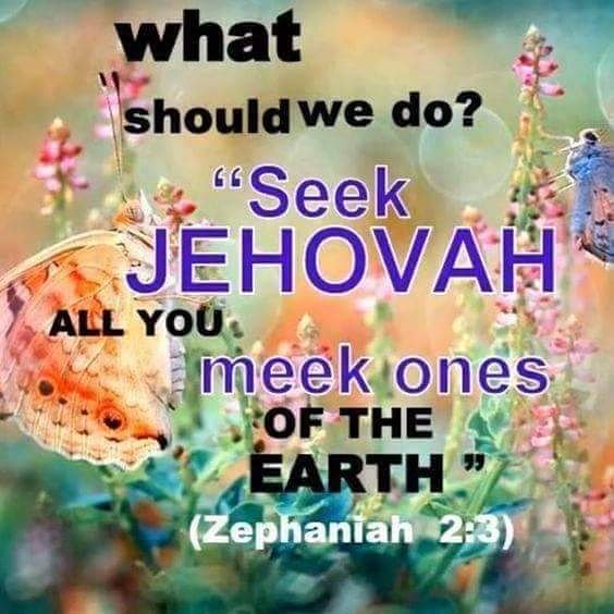 truthlover8318's tweet photo. #NeverHaveIEver

Time left is reduced ..

Seek Jehovah while there's still time. .

Zephaniah 2:3

Kindly visit https://t.co/hU5qiVeGPE for factual infos. https://t.co/LgaZkzN0IP