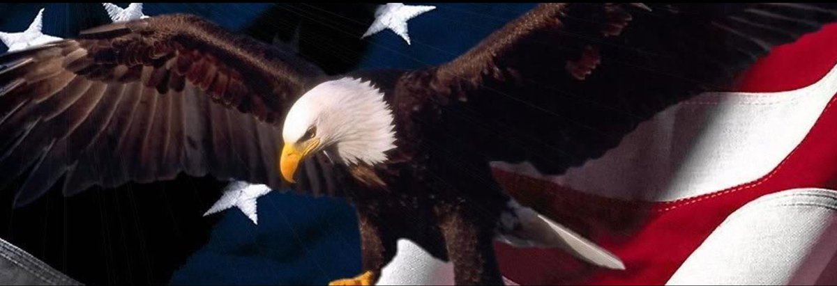 dmills3710's tweet photo. @PKekbar @Education4Libs @realDonaldTrump Oh No!!! @Education4Libs has been at the forefront of this patriotic #truthforce #digitalarmy from the beginning of these efforts. They have brought truth with such wit &amp; intelligence. We will miss them until they return. God bless them. ➕🇺🇸➕ https://t.co/1gsqCLe5eX