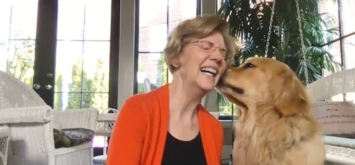 ratemyskyperoom's tweet photo. Floor to ceiling windows, plant, swing, chair, ✅. Beautiful room. 9/10 + Bailey.  10/10 @ewarren https://t.co/OSib232iC8