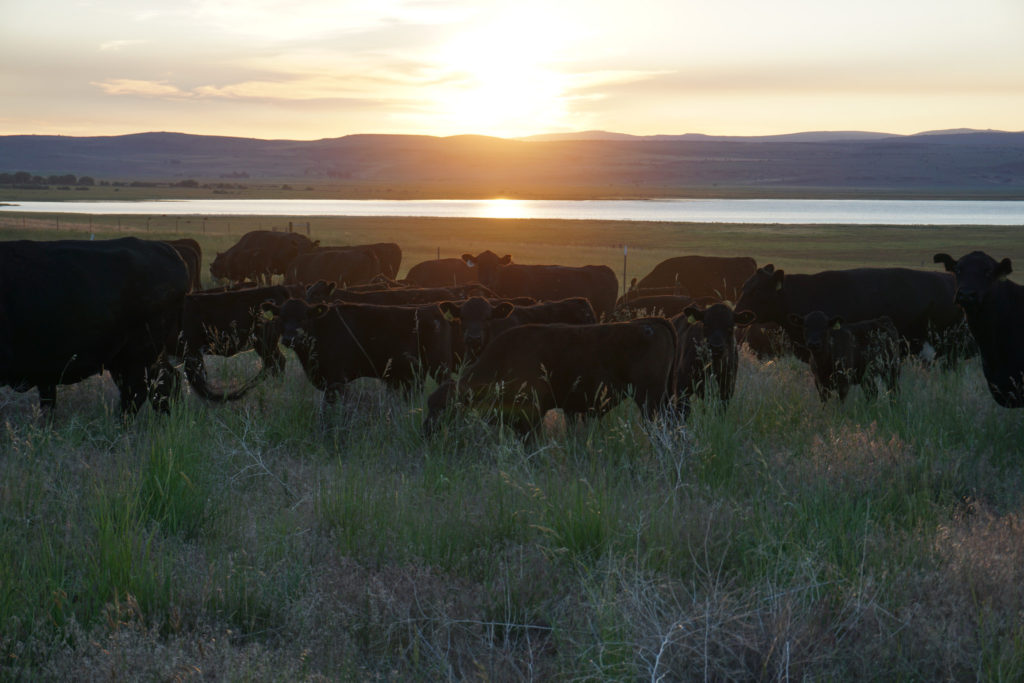 Even though events have been halted for the time being, make a note of our upcoming classes and workshops so you're ready to go when we return! ow.ly/LIqB50zqeUB