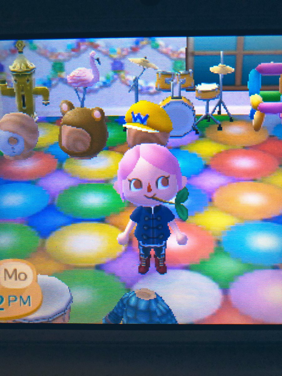 shampoodle and setter