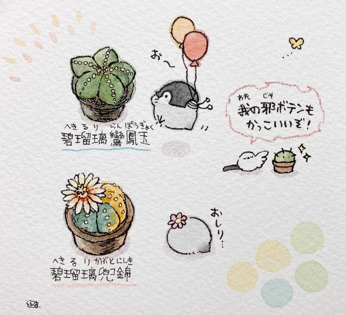 サボテンかっこいい 