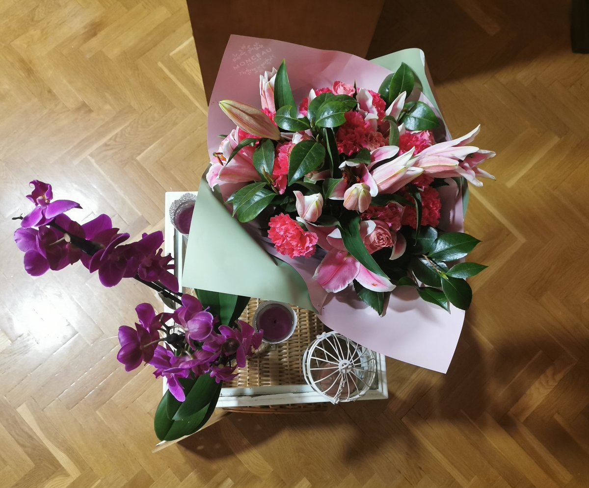 irene__flowers's tweet photo. Pues ya tengo 30 añitos. #LaFloreria https://t.co/p9Rjb0Ky5m