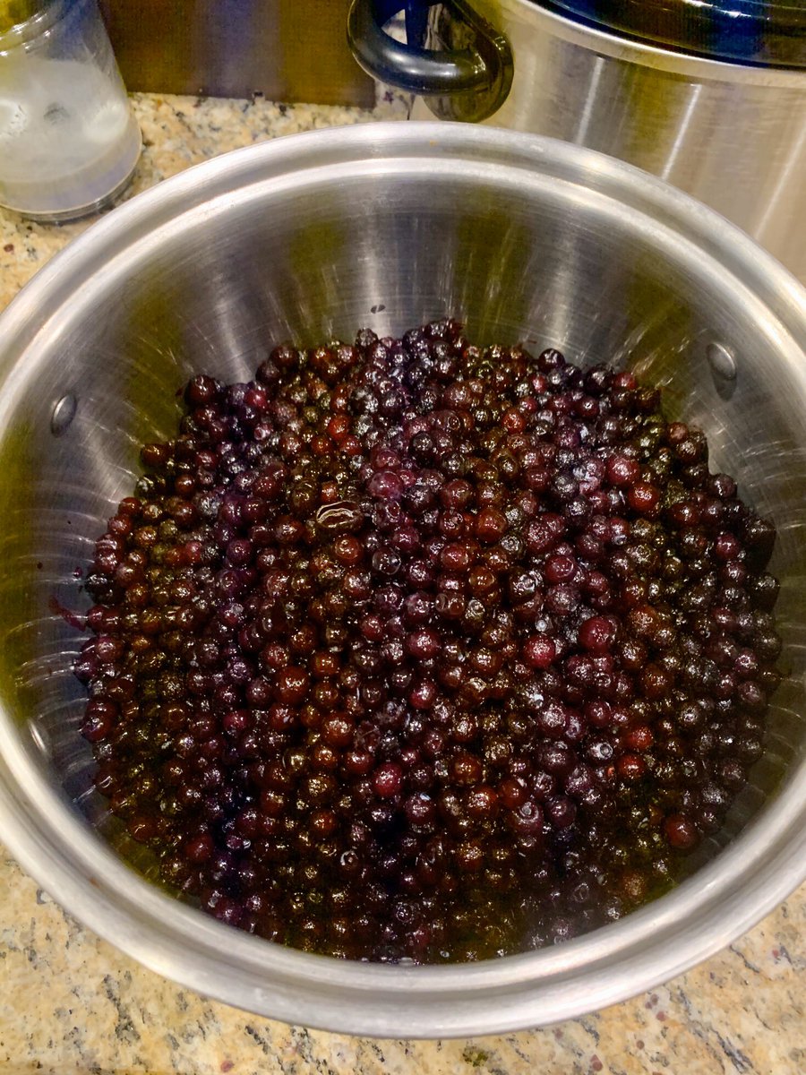 BLUE SCREEN OF DEATH

Six pounds of blueberries were hand-mashed and added to this explosively refreshing blueberry wheat ale. Nothing better than a beer that tastes like it was freshly picked!