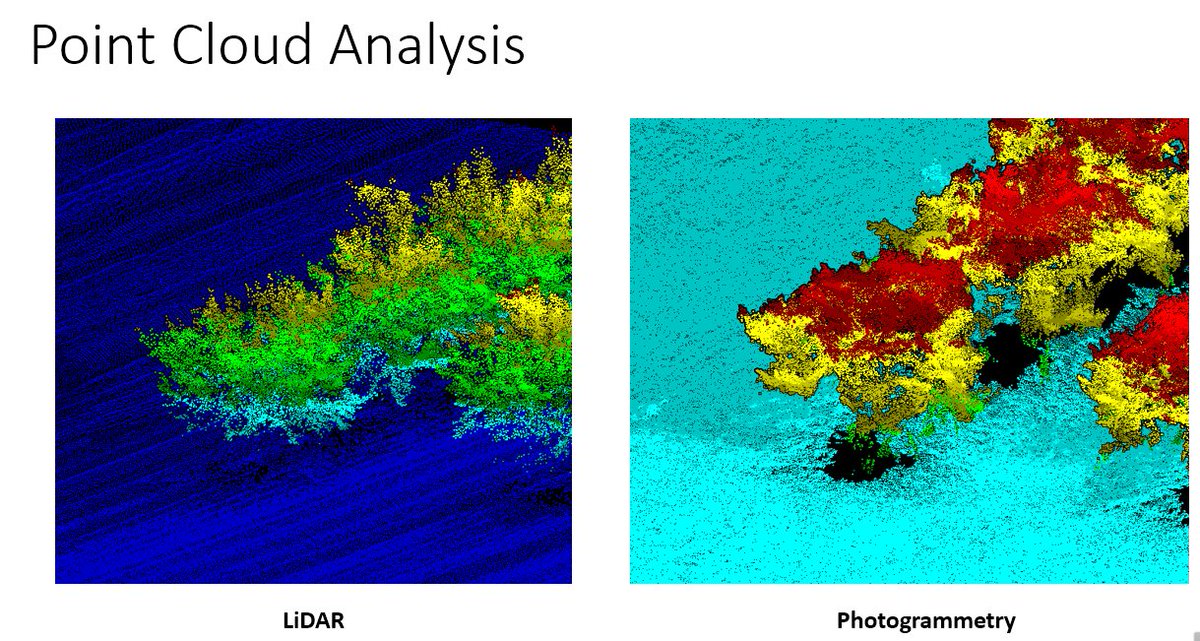 Kyle Cheung tweet media