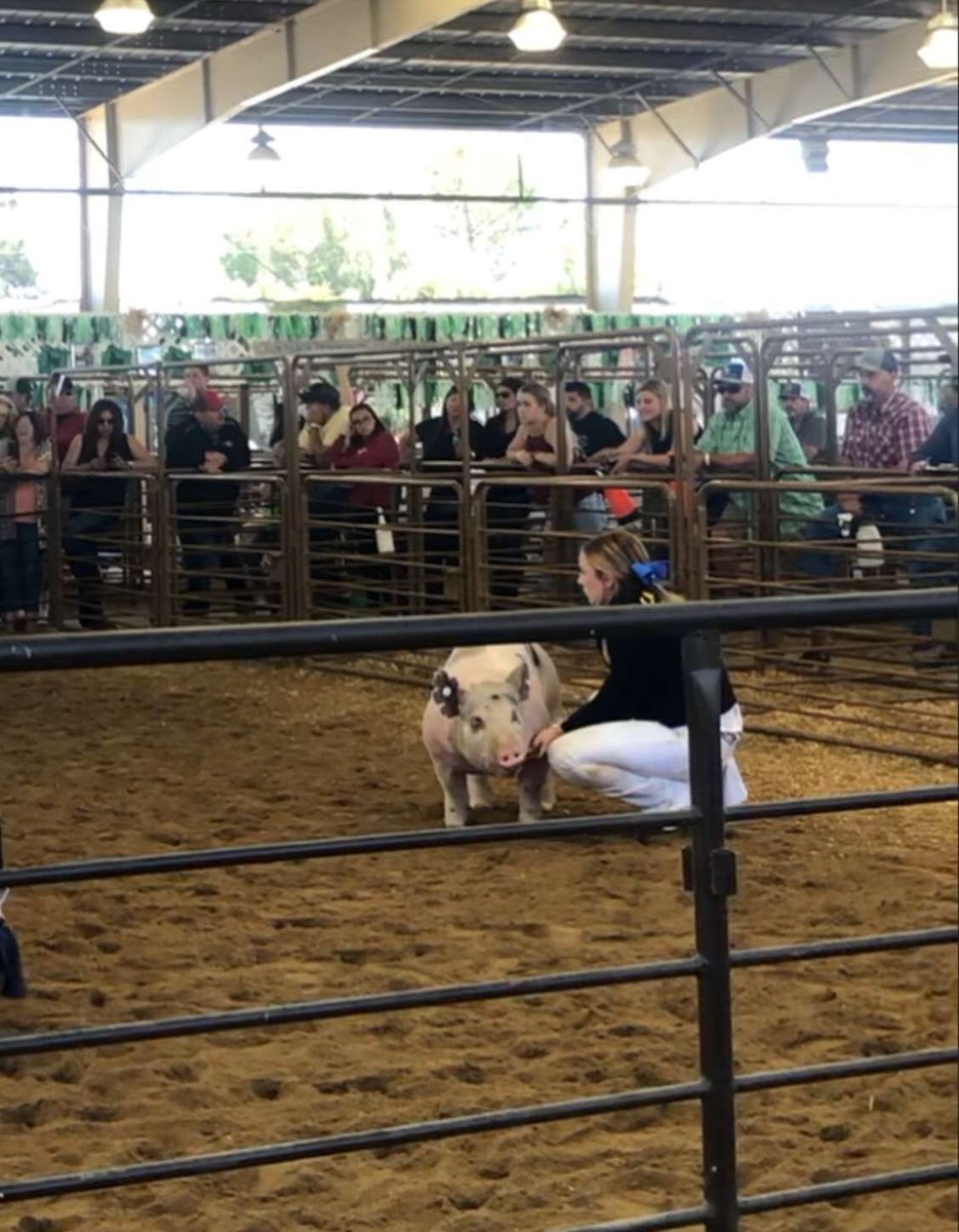 Hailey01456870's tweet photo. 2019 May Day Fair memories!💛#TigerFairWeek #lbffa @LosBanosTigers https://t.co/OVWoo8g4M1