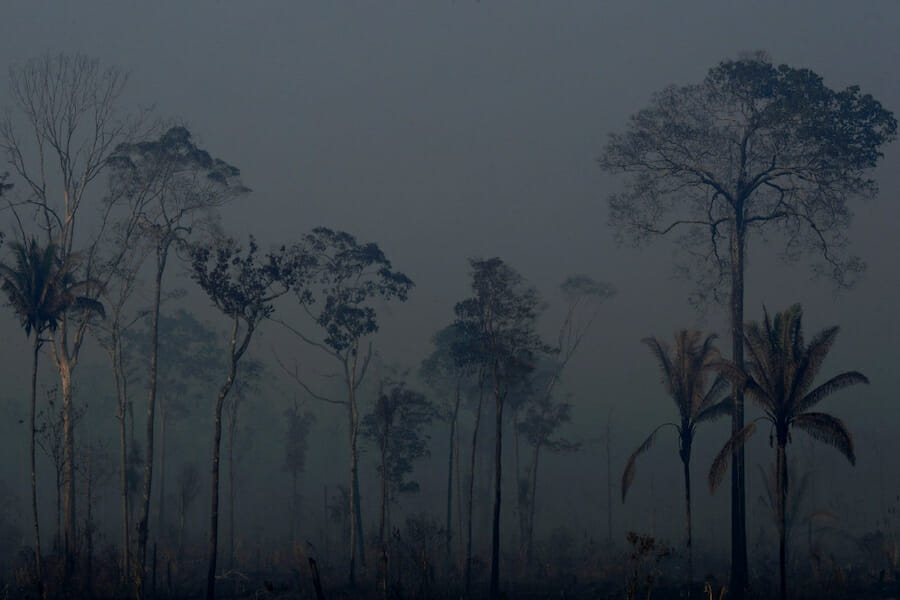 intpolicydigest's tweet photo. Evangelicals in Brazil see Abuse of God’s Earth as a Sin. But will they Fight to Save the Amazon? https://t.co/hwseFBBWbf #Brazil #BrazilianEvangelicals #BrazilRainforest #Amazon #BrazilEnvironment #Christianity #JairBolsonaro @intpolicydigest https://t.co/WDSfB5lwM1