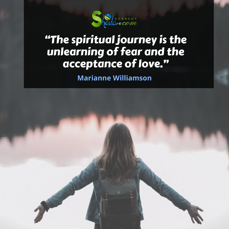 We can also start understanding nature by seeking our whole life.