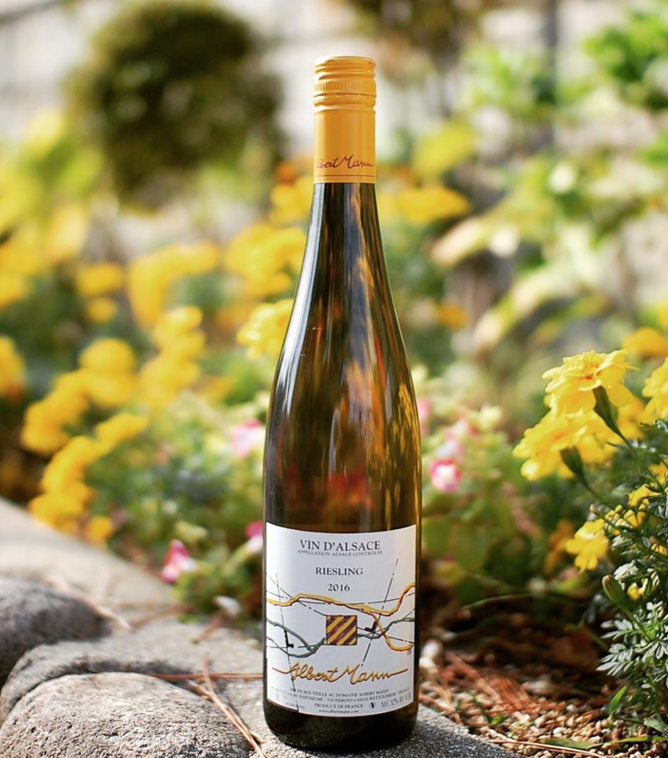 #AlsaceRocks tweet media