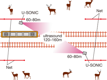 🐇 
🇯🇵The Gov't of Japan！@JapanGov 
何十年も前から動物が線路に出没する問題がある中、日本の鉄道はどうやって時間厳守を維持しているのだろうか？超音波を使った踏切システムが、#鹿 の衝突を減らすことに成功した。 
#HighlightingJapan: lnky.jp/IGrDqEM