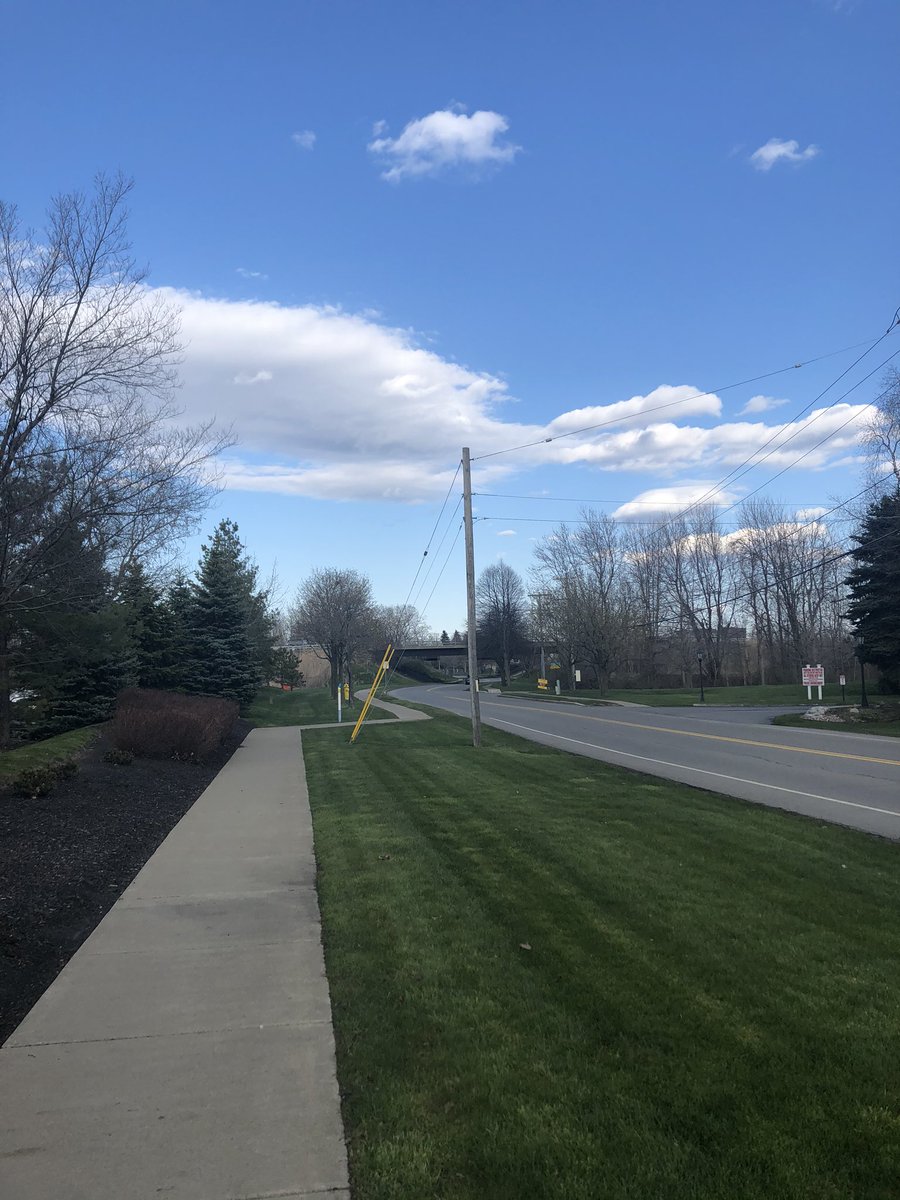 madisonclarke__'s tweet photo. For this sustainability challenge (and since I don’t have a car lol), me and my roommates walked to the store this week for groceries #emissionLESS #365challenge @DrJDAtkinson https://t.co/WcVTFC8xQb