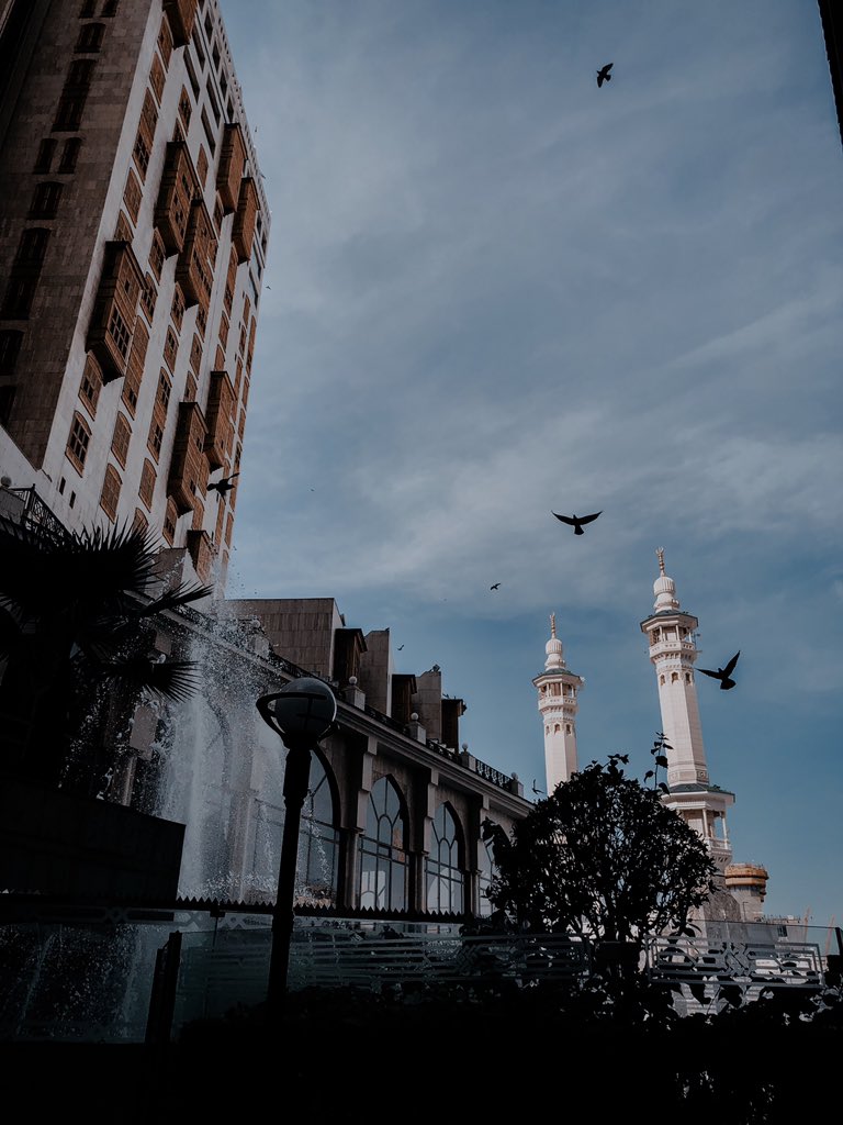 Samo3012M's tweet photo. @PicGreen عَسَى أَن يَكُون فَرَجُ الله قَرِيبــاً🕊 https://t.co/Uz7aDSKqxl