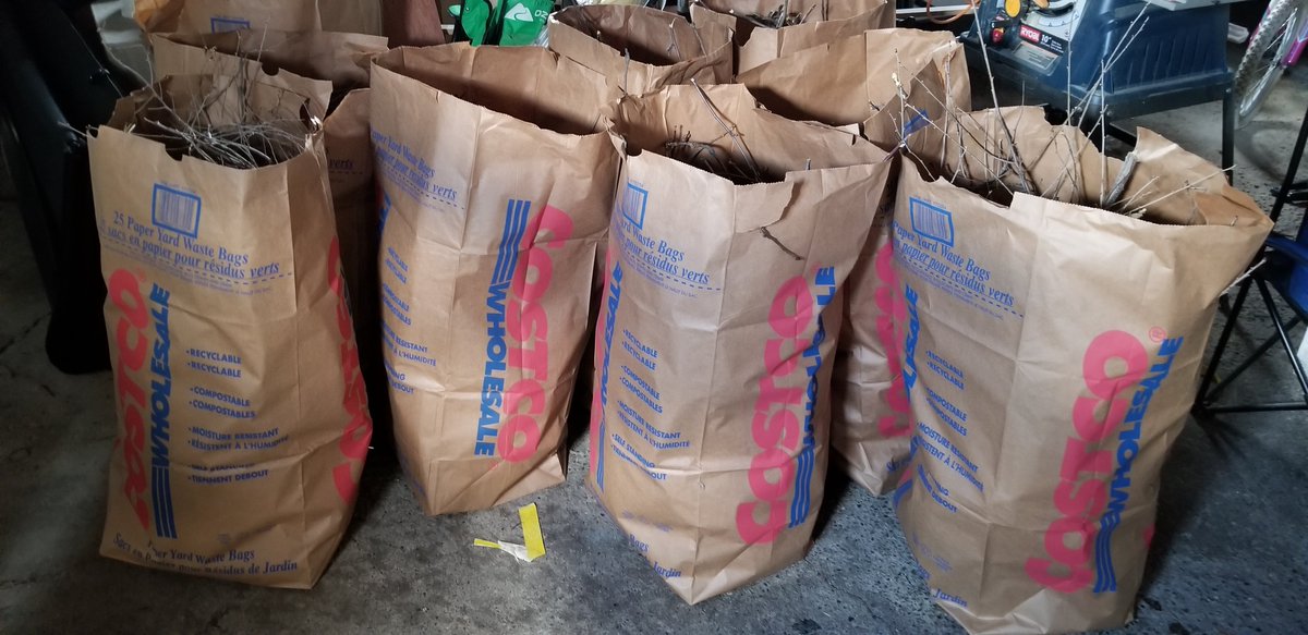 Canadian_Mich's tweet photo. @StPeterCES 
One less tree in our backyard. 8 bags full and counting... #DefenderFamilyContest https://t.co/UJAPz0meKn