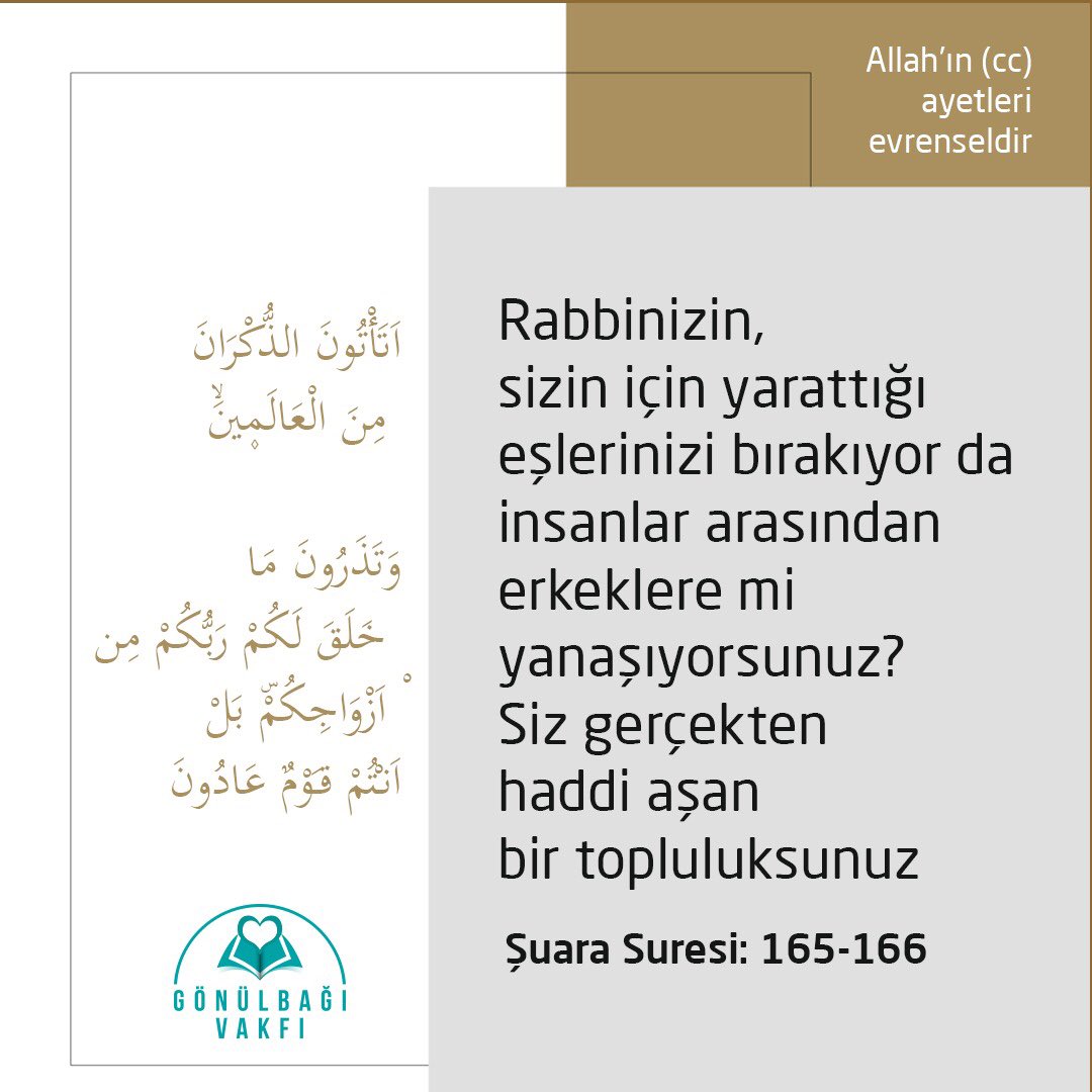 gonulbagivakfi's tweet photo. https://t.co/2tdyJoLlGQ