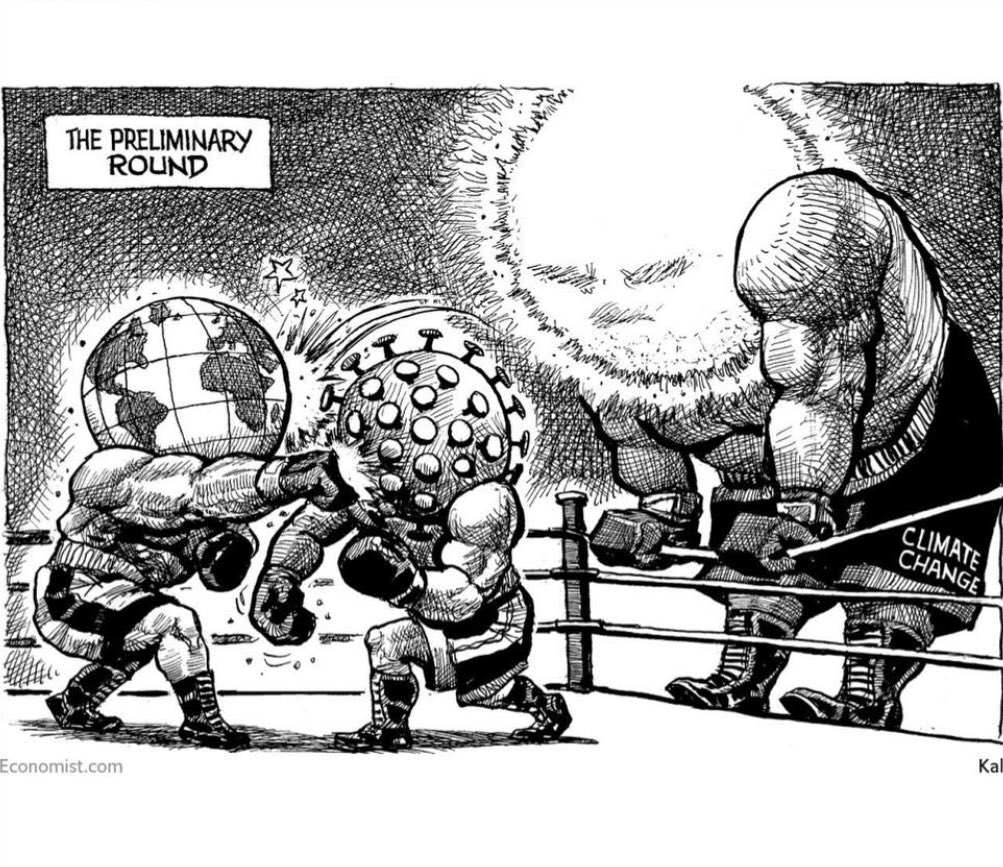 The Woods Save Earth (@the_woods) on Twitter photo 