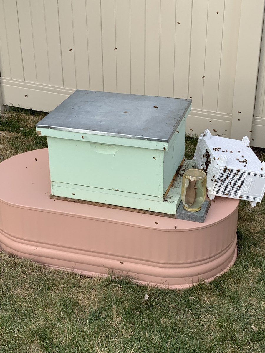 sheeshka13's tweet photo. The #bees are back! @UtahBeekeeping https://t.co/JBP6scFG96