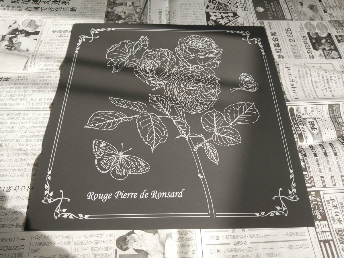 のりぃだぁ٩ ๑ ᴗ ๑ ۶ Pa Twitter 次はこれ スクラッチアート 大人のスクラッチアート 薔薇の花園 ルージュ ピエール ド ロンサール