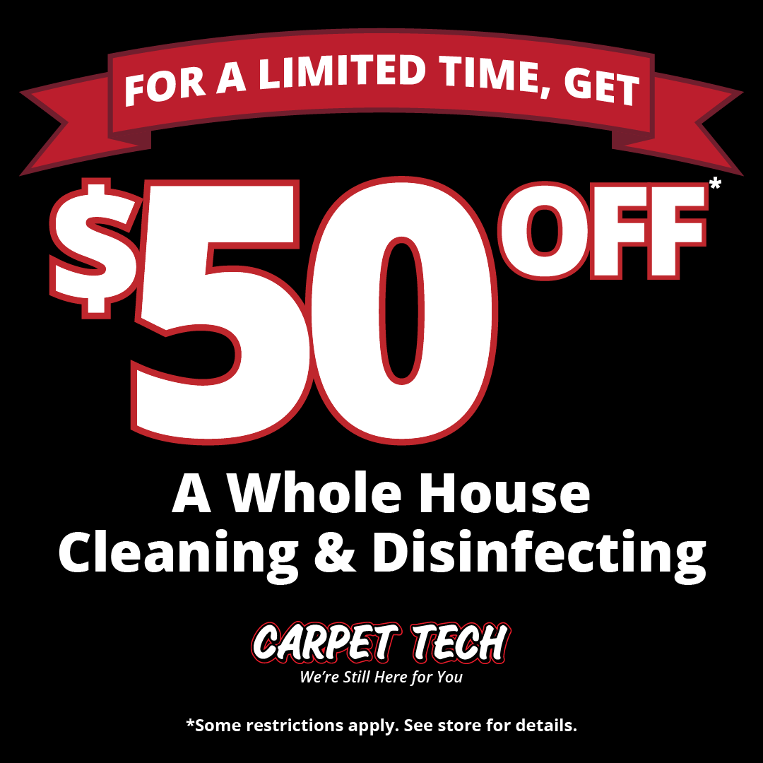 CallCarpetTech's tweet photo. Take advantage of this limited time offer! Get $50 off a whole-house floor cleaning and disinfecting. 
Call or click to learn more: https://t.co/QnTmeZsej4

#CallCarpetTech #Disinfecting #COVID #WestTexas #Lubbock https://t.co/4eJ8Ap79Jx