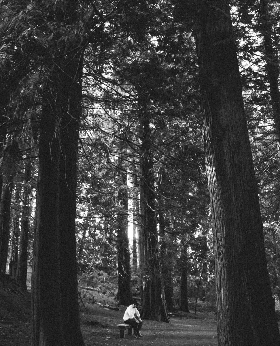 Ben Cottrill tweet media