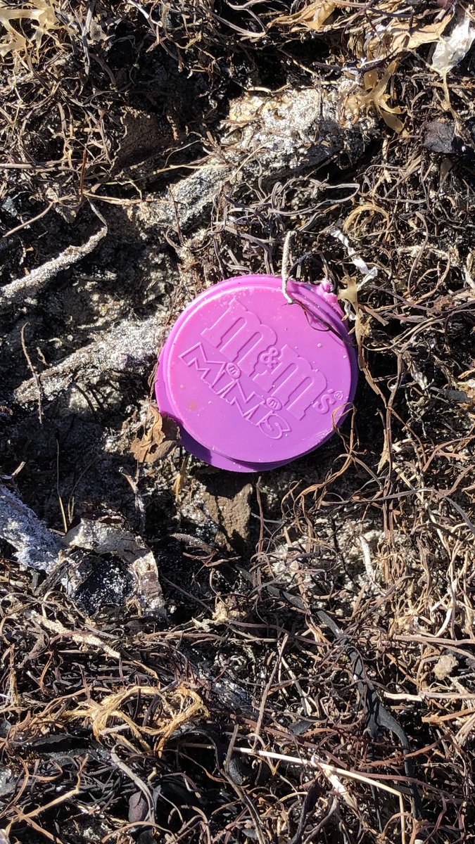 SuilanSpink's tweet photo. #MarsIncorporated #ReturntoOffender , #jacksLink keep finding your #pepperami ~
non ami! 👎🏼 Plus the #catering #industry keep your #singleuseplastic it is neither for the #beach nor #sea!  Use a #plantbased #product #please #corvidbeachclean Every 200m a bag full! @sascampaigns https://t.co/ioroz41pBW