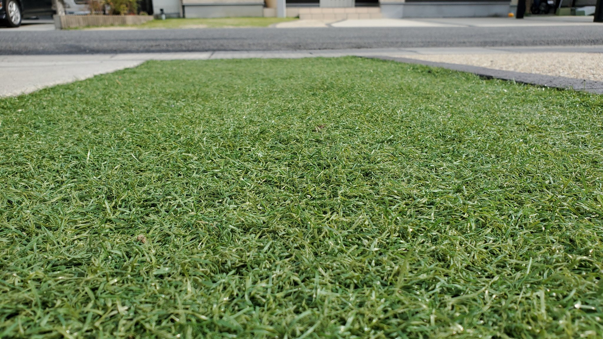 つりきっぷのガーデニング奮闘日記 4 28 本日の人工芝 凸凹すぎる 不陸修正しようかな 本日は撮影 編集の日 無理やり理由をつけて先伸ばしにしてしまう 頑張ろっと 芝生 人工芝 目土 T Co Pf2a9qeq6p Twitter