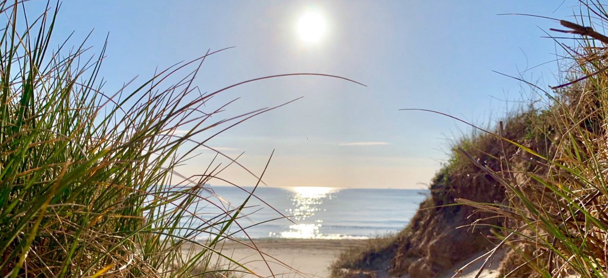 EL CLIMA EN TIEMPO REAL tweet media