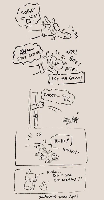 A big lizard in my room =口=!!!

It's hot these days...must've wandered into our house to avoid the heat.  Sorry had to throw it out.  Orz 