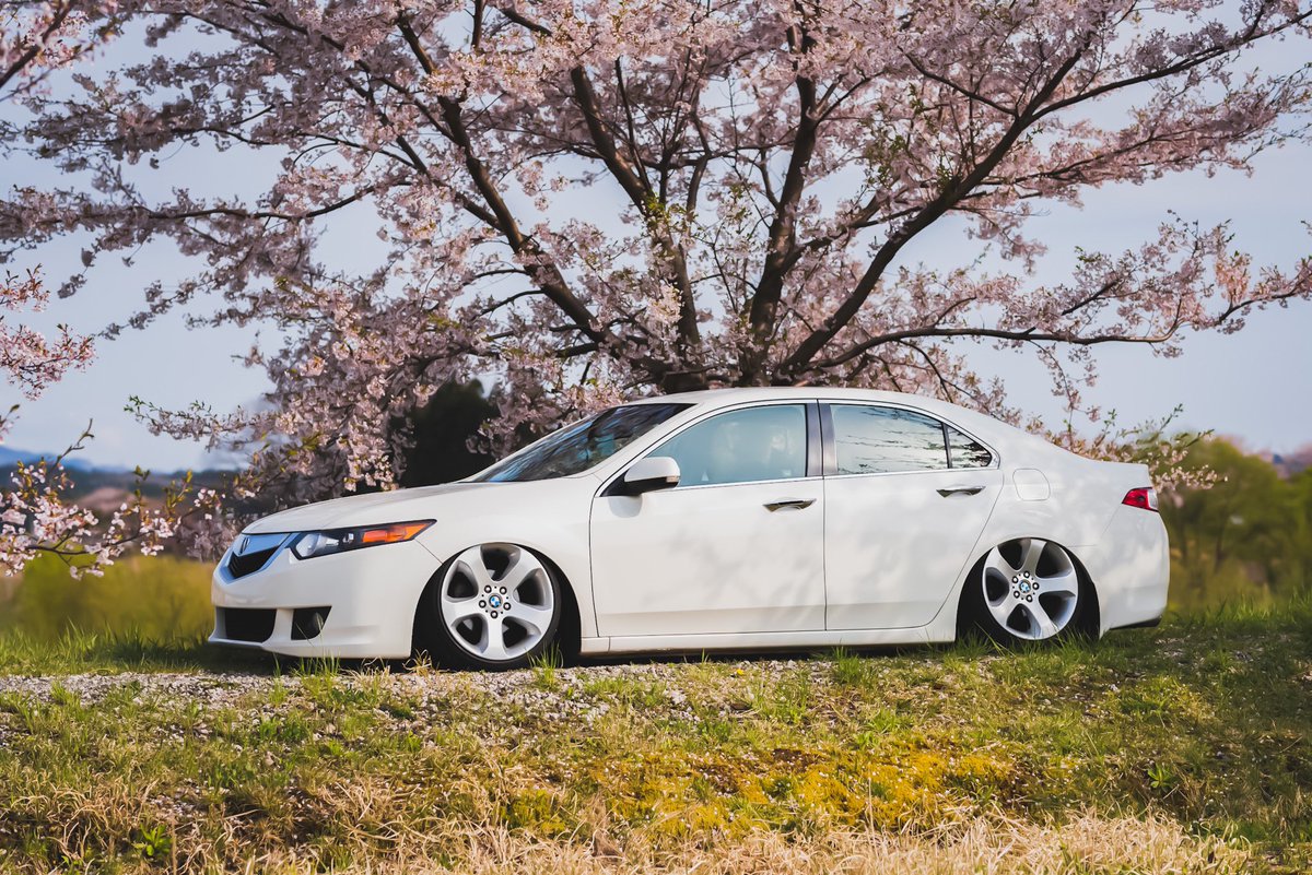 mo_eeen's tweet photo. #愛車を晒すとRTとフォローしてもらえる

教えて頂いた河川敷🌸🌸🌸
奥野さんからUSオーディオパネルに続きマッドガードも譲って貰いました👊✨ https://t.co/Sloz0UBOo2