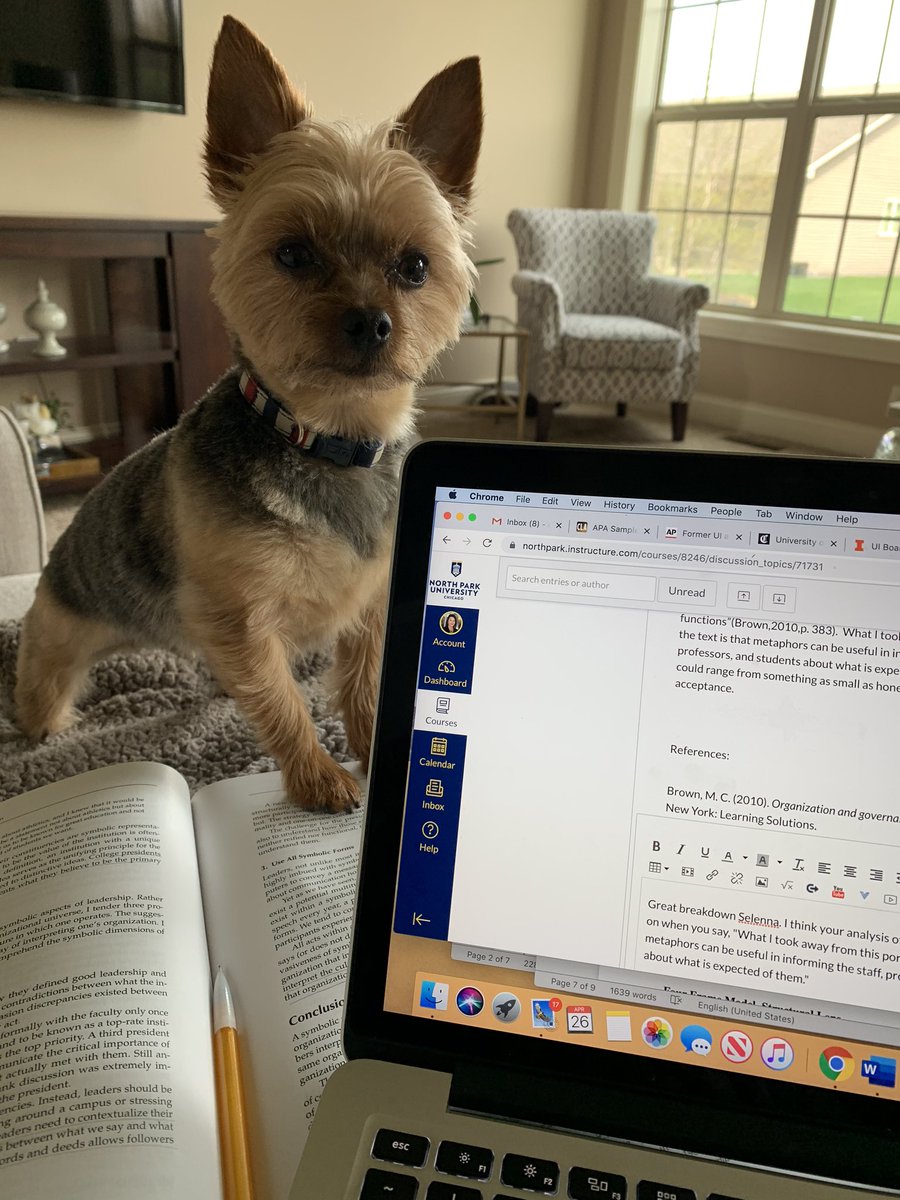 Day 43 & 44: Still in stay at home order. I am desperate for some time alone. Even the dogs won’t leave me alone.  #COVID19