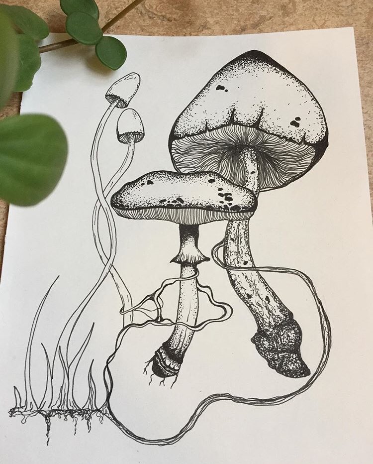 Lana León tweet media