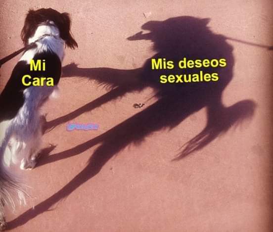 tholsw's tweet photo. Y creciendo con tanto encierro 😈😈😈 #LunesDeGanarSeguidores https://t.co/ABt9QNzkaa