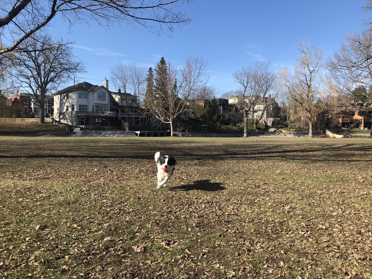 Day 6/7 of my life in pictures. No people, no description. 

Continuing on some non-Arctic trend, I challenge <a href="/OsmanyPorto/">Osmany Porto</a>. Show us some of your beautiful country!