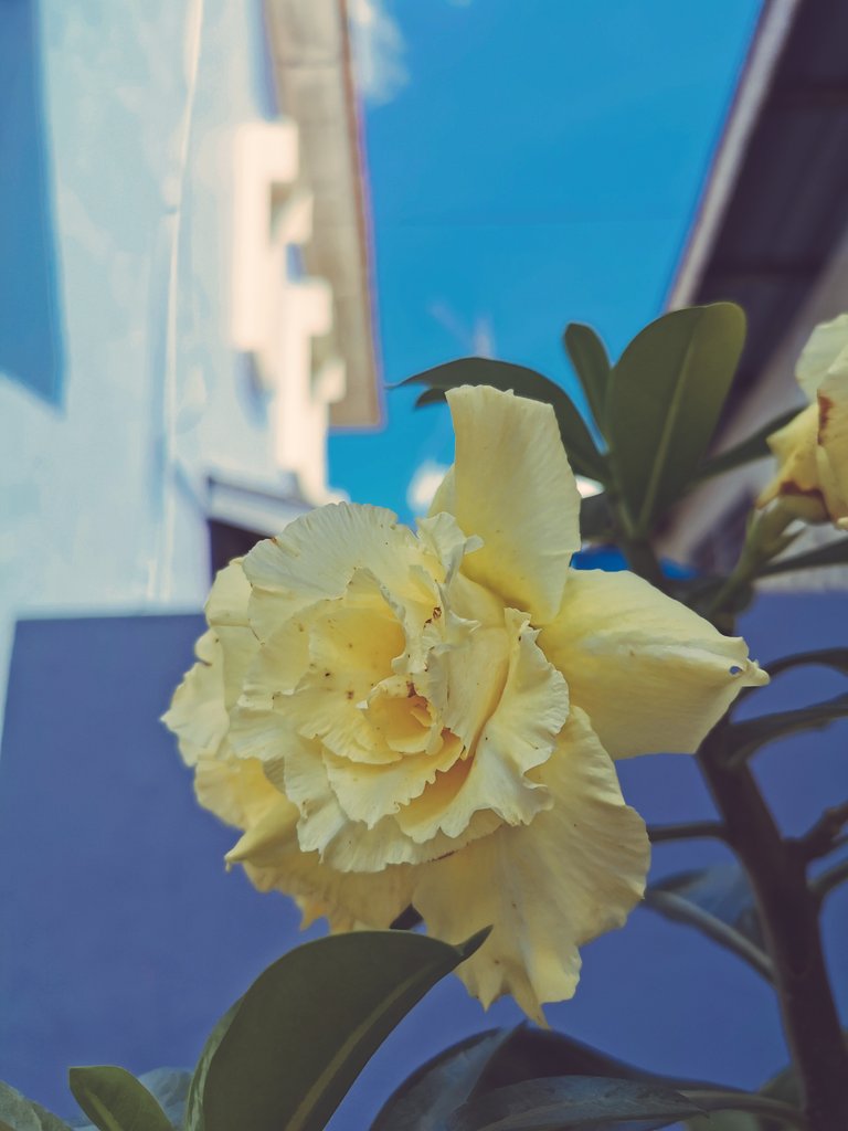 primrosepil's tweet photo. ๐ผ "Feeling hopeless or empty, it happens to everybody. and just because it happens to everybody doesn't mean it's not a point of concern" - Kim Wonpil ๐
#HAPPY_WONPIL_DAY
#SpringforWonpil https://t.co/q3X19nTkpb