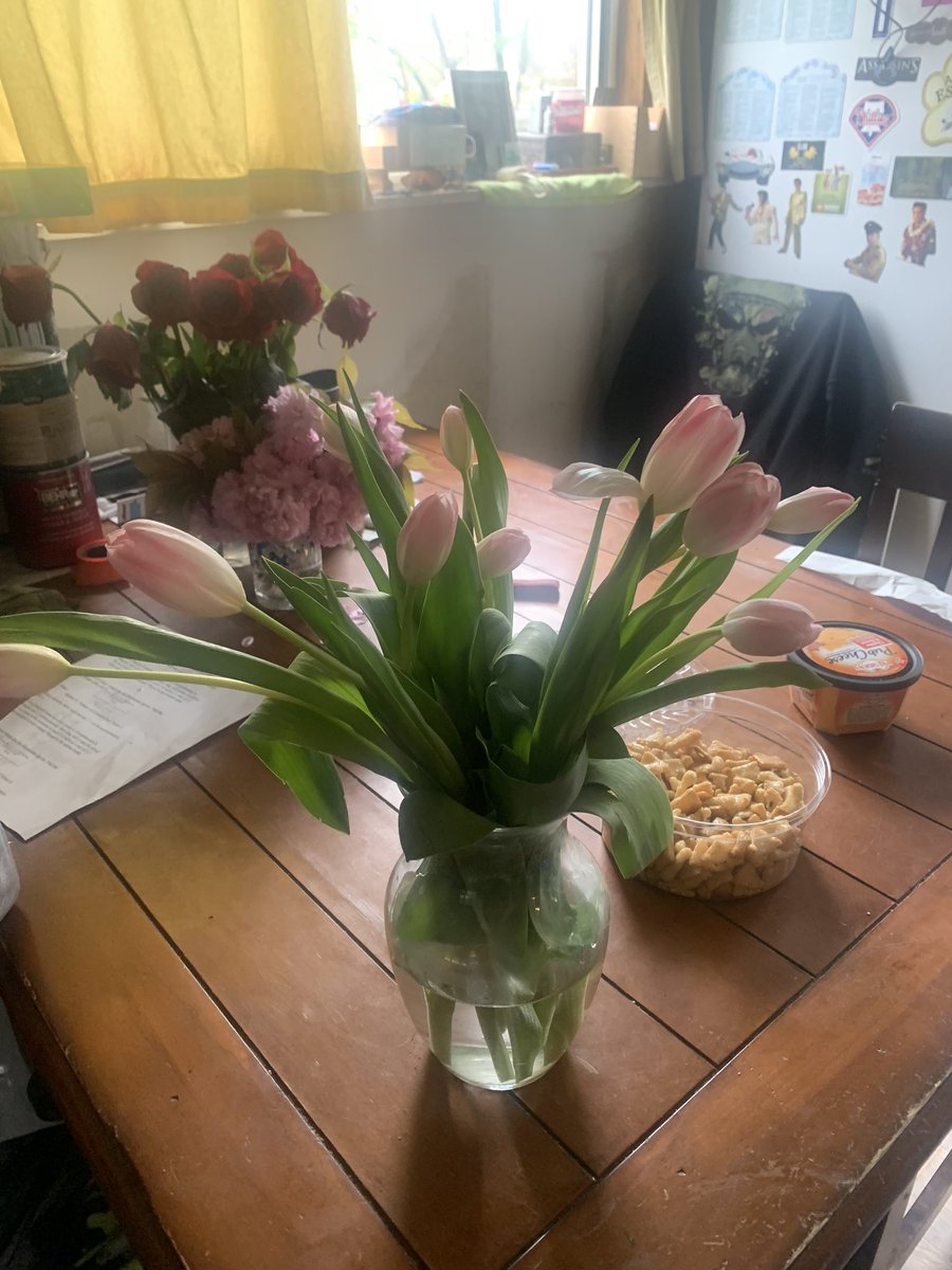 My tulips 💐