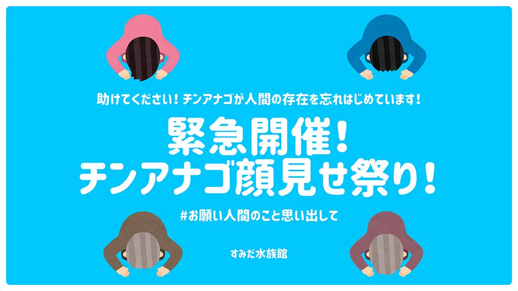 人間の顔を忘れてしまったチンアナゴたちに顔見せしよう！すみだ水族館の「チンアナゴ顔見せ祭り」開催決定！！