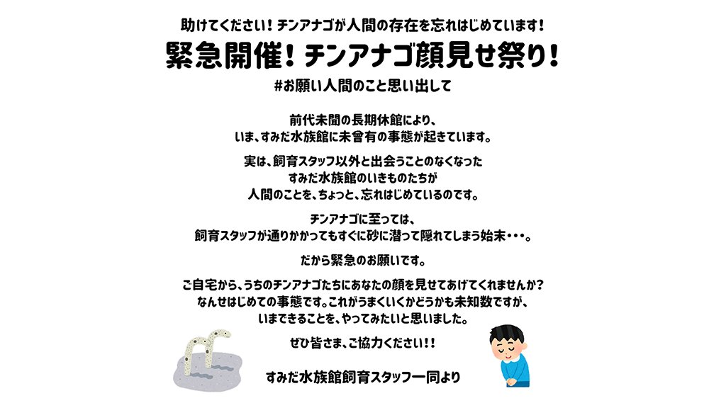 すみだ水族館から緊急のお願い チンアナゴが人間の存在を忘れているので 家からあなたの顔を見せて お願い人間のこと思い出して Togetter すみだ水族館から緊急のお願い チンアナゴが人間の存在を忘れているので 家からあなたの顔を見せて お願い人間のこと思い出して Togetter