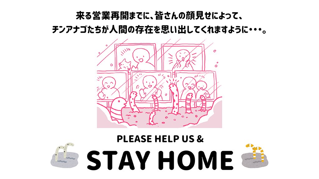 緊急開催決定❗️❗️
異例の長期休館でいきものたち（特にチンアナゴ）が人間の存在を忘れ始めています💦だからお願いです。お家からチンアナゴにあなたの顔を見せてあげてください。
「チンアナゴ顔見せ祭り」開催します❗️
sumida-aquarium.com/news/details/2…

#お願い人間のこと思い出して
#休園中の動物園水族館