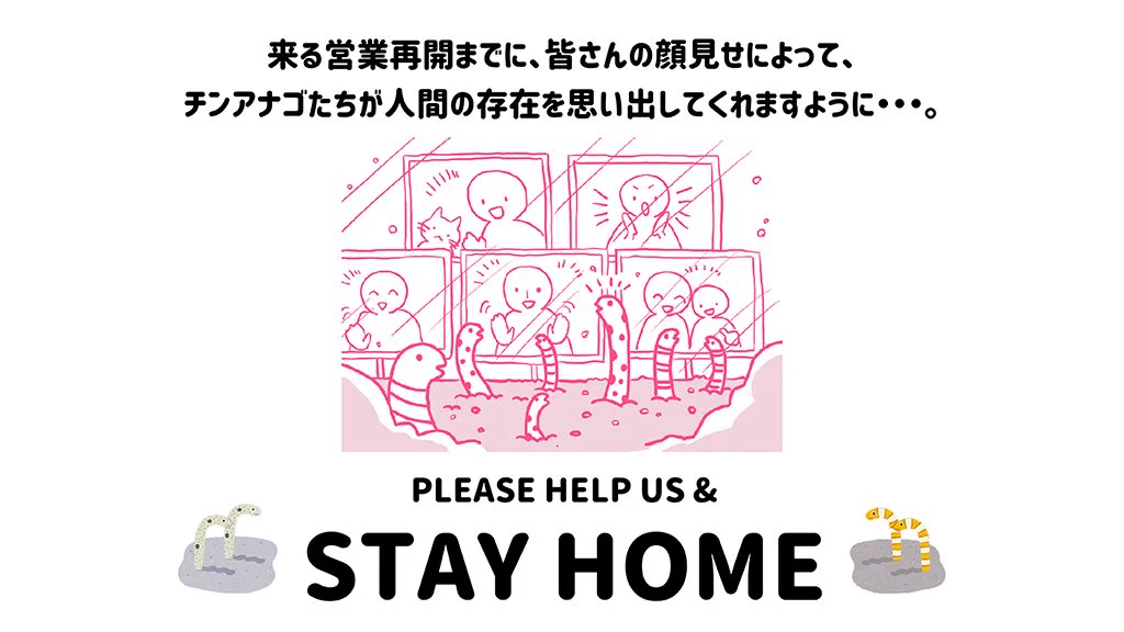 人間の顔を忘れてしまったチンアナゴたちに顔見せしよう！すみだ水族館の「チンアナゴ顔見せ祭り」開催決定！！