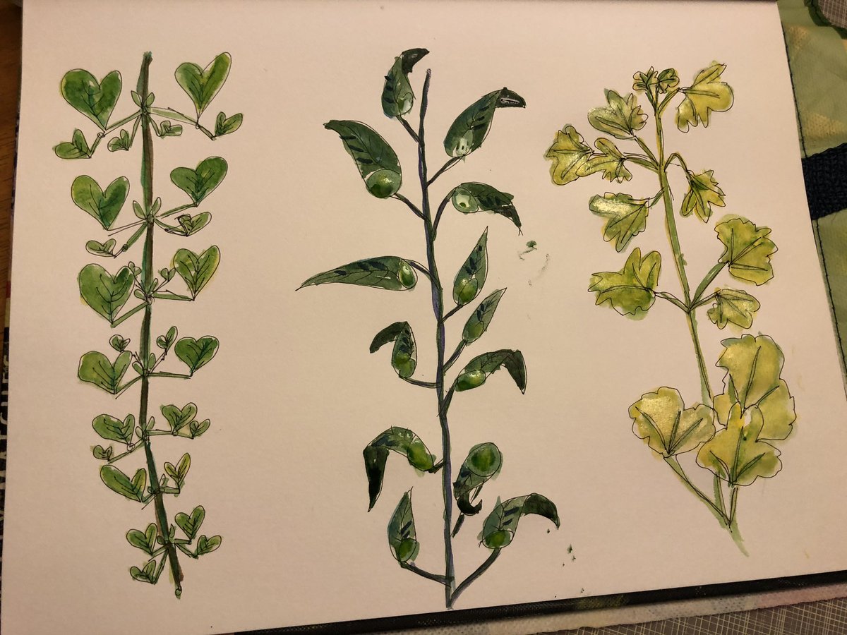 Jmschickel42's tweet photo. Playing with numbers, leaves &amp; color #colourplay #estemacleod https://t.co/hkpz2mNCJo