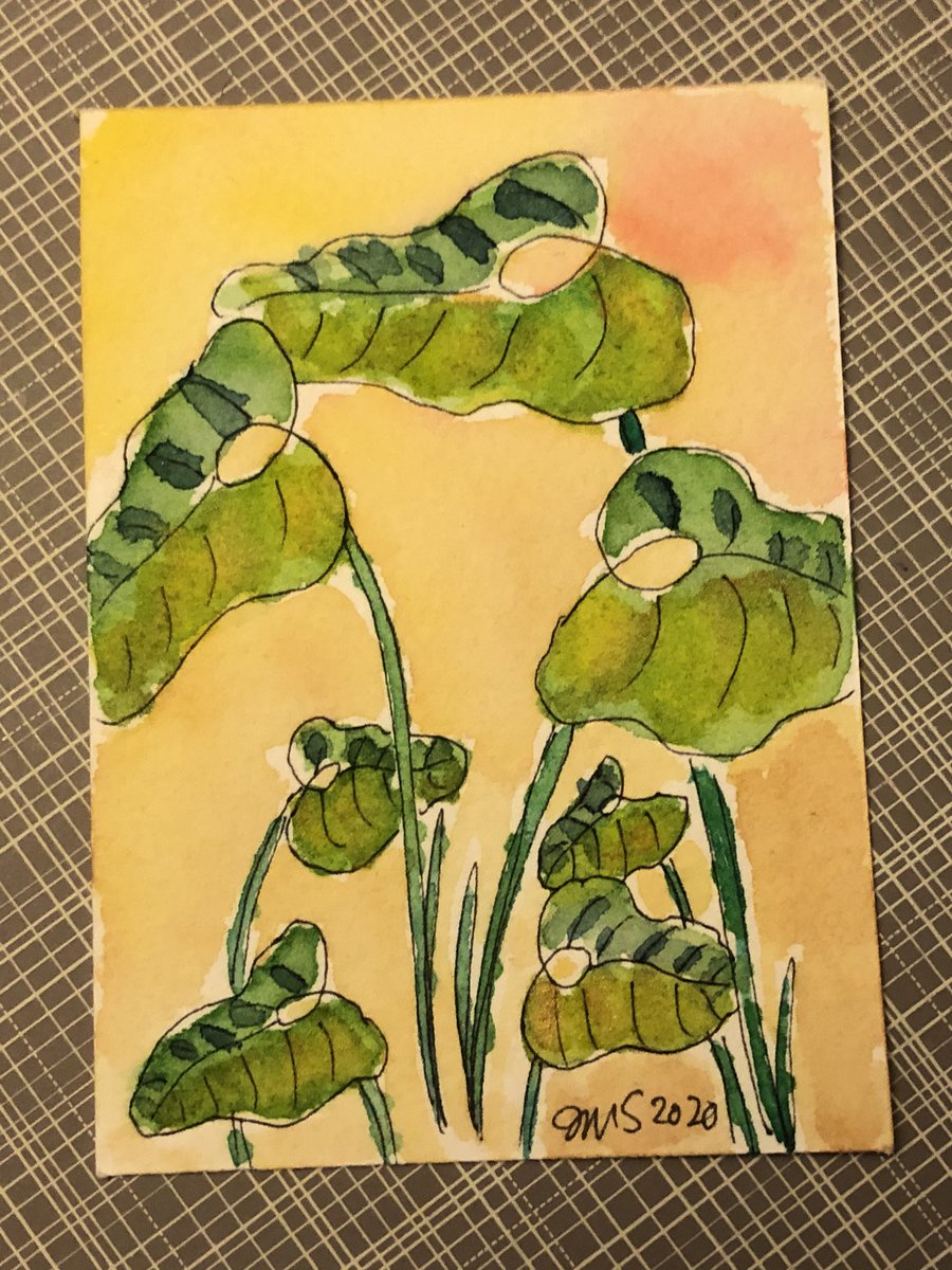 Jmschickel42's tweet photo. Playing with numbers, leaves &amp; color #colourplay #estemacleod https://t.co/hkpz2mNCJo