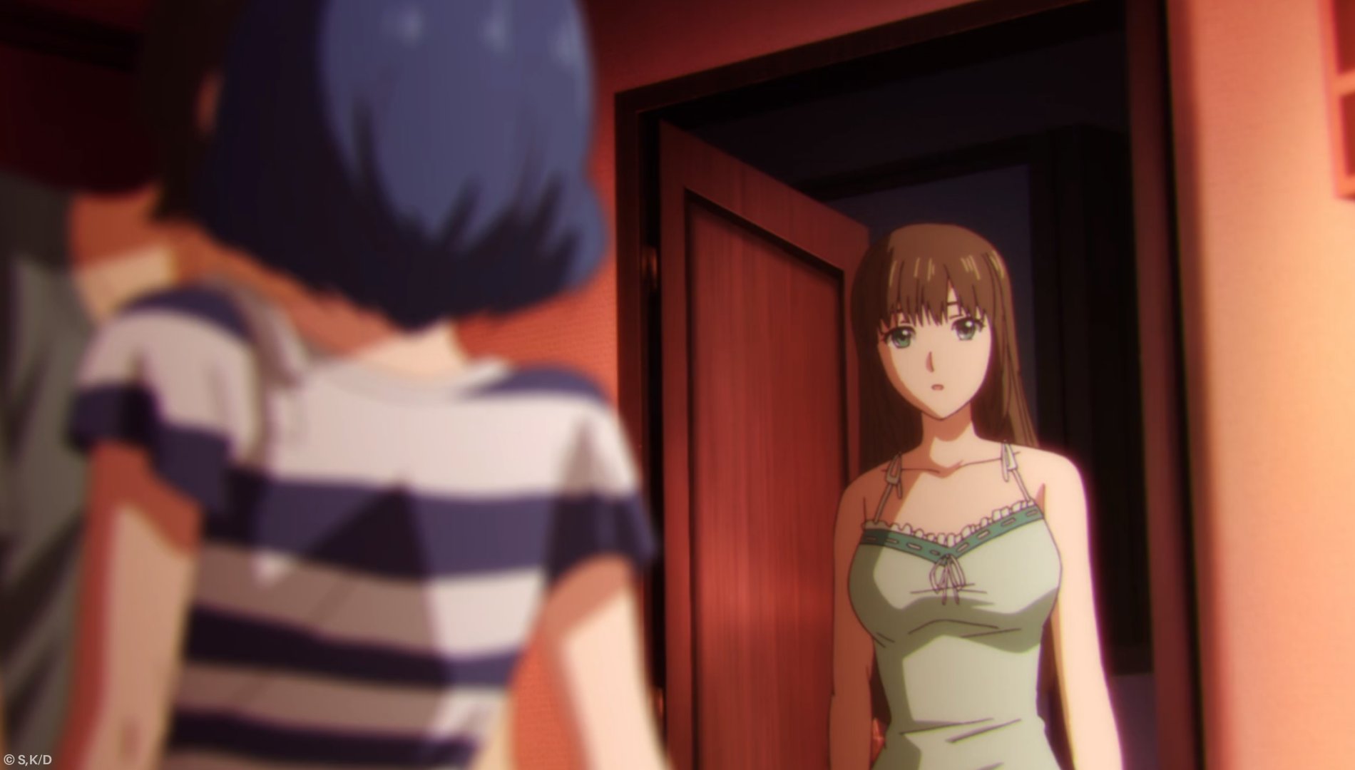 Sentai Filmworks licenses Domestic Girlfriend anime : r/anime