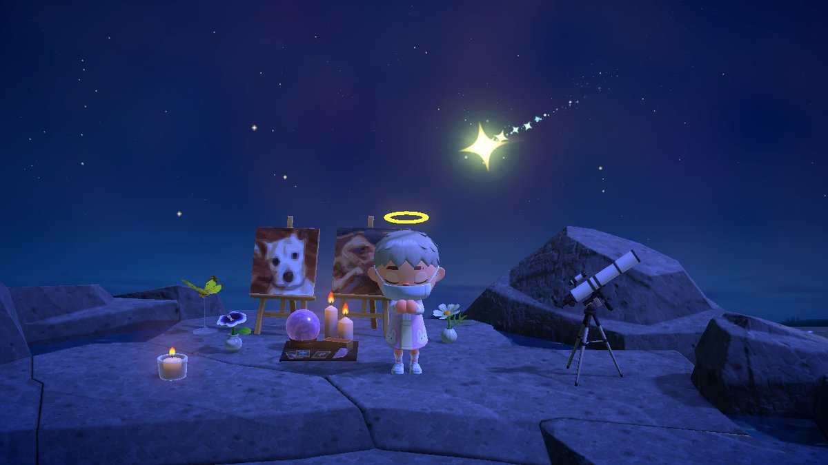 bakashark's tweet photo. wishing on stars the other day next to my pet shrine #AnimalCrossing #ACNH #NintendoSwitch https://t.co/nebGZF63uV