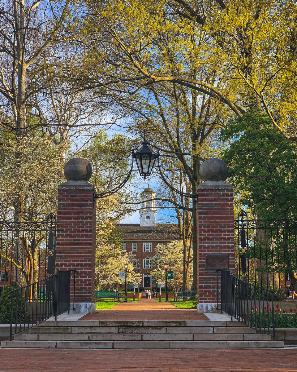 ohiou's tweet photo. I mean... c’mon 😻 https://t.co/DWwv4CrN1A