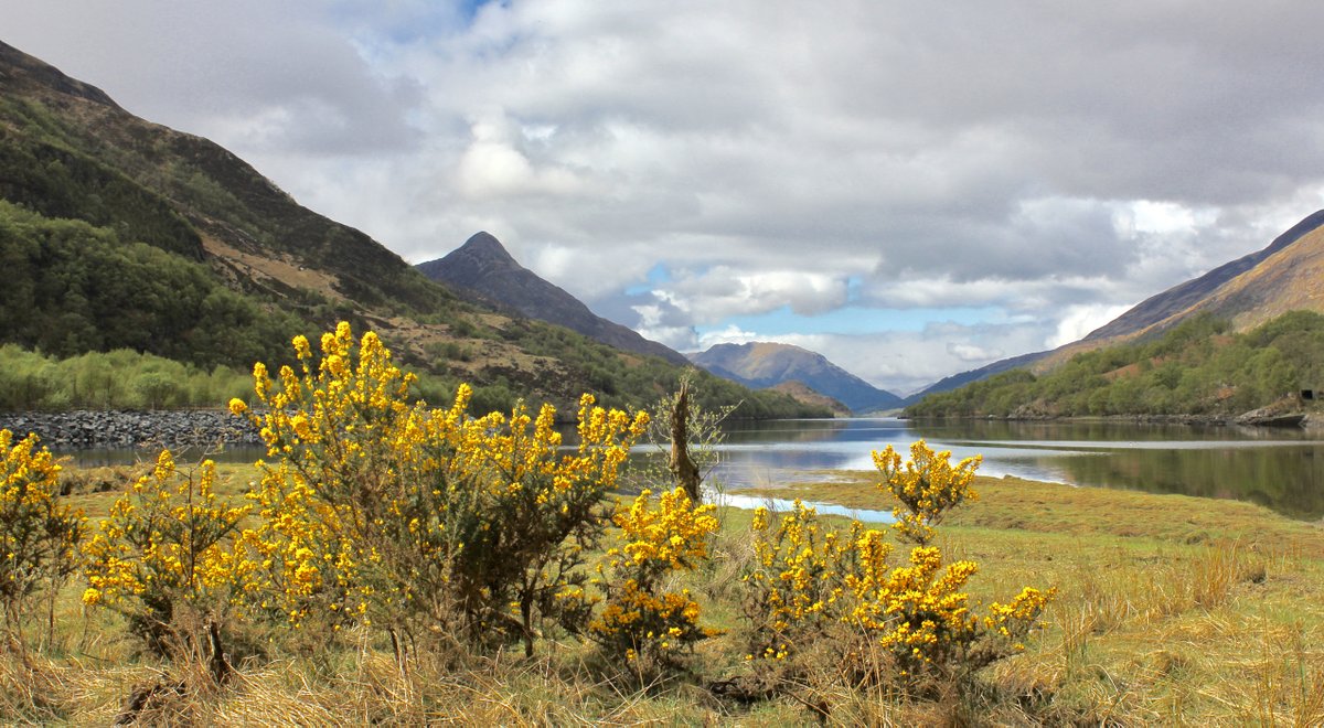 David Hunter tweet media