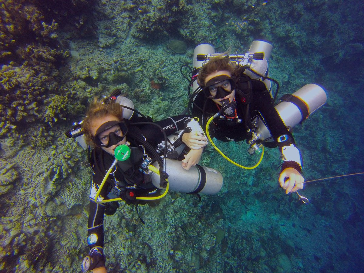 BlueLabelDiving's tweet image. #girlsthattechdive #tdidivers #trimix @BlueLabelDiving @fourth_element @TDIdivers
